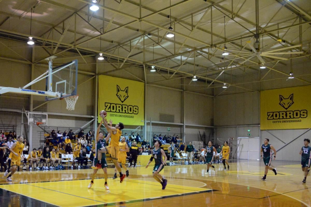 329121951 3365651840324136 2655193563412224045 n