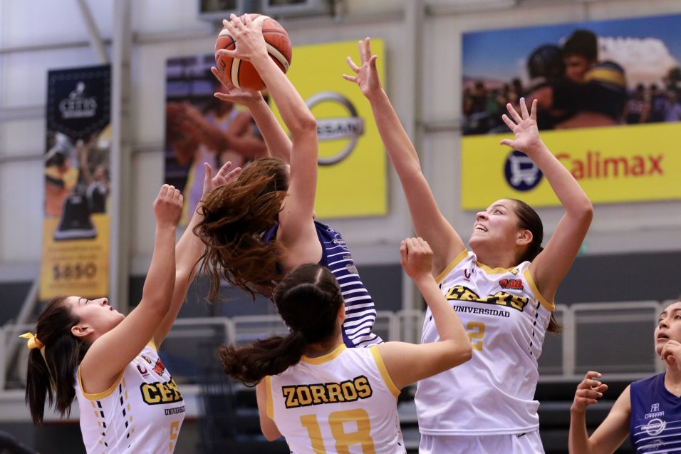 B8501745 DB17 4662 9522 9419A02FFA90