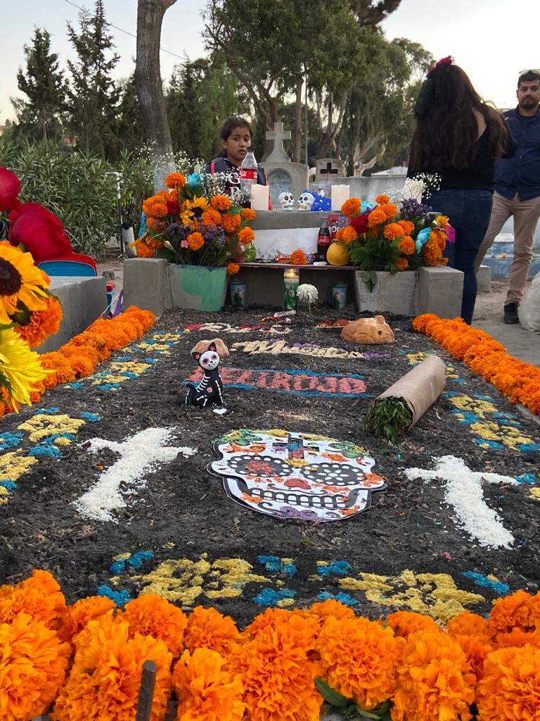 B753A17A E933 40F4 A7B9 AEF0CBCB4EC0