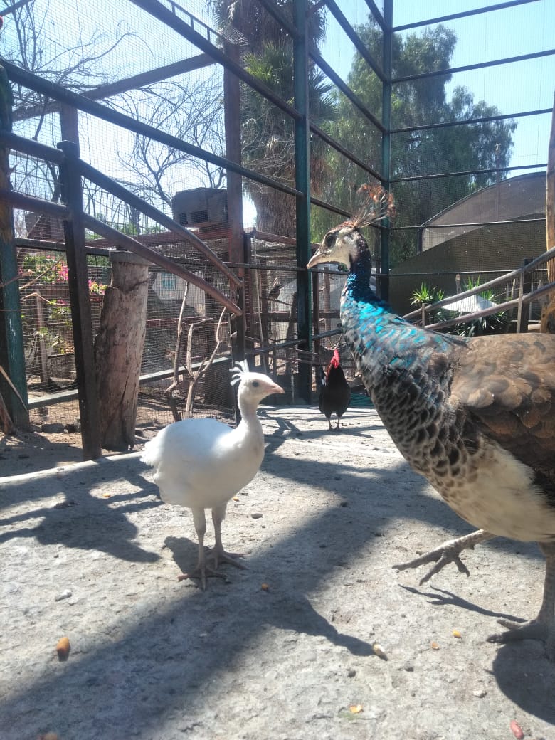 B650A35B A794 4E14 891A 779AB0C96049