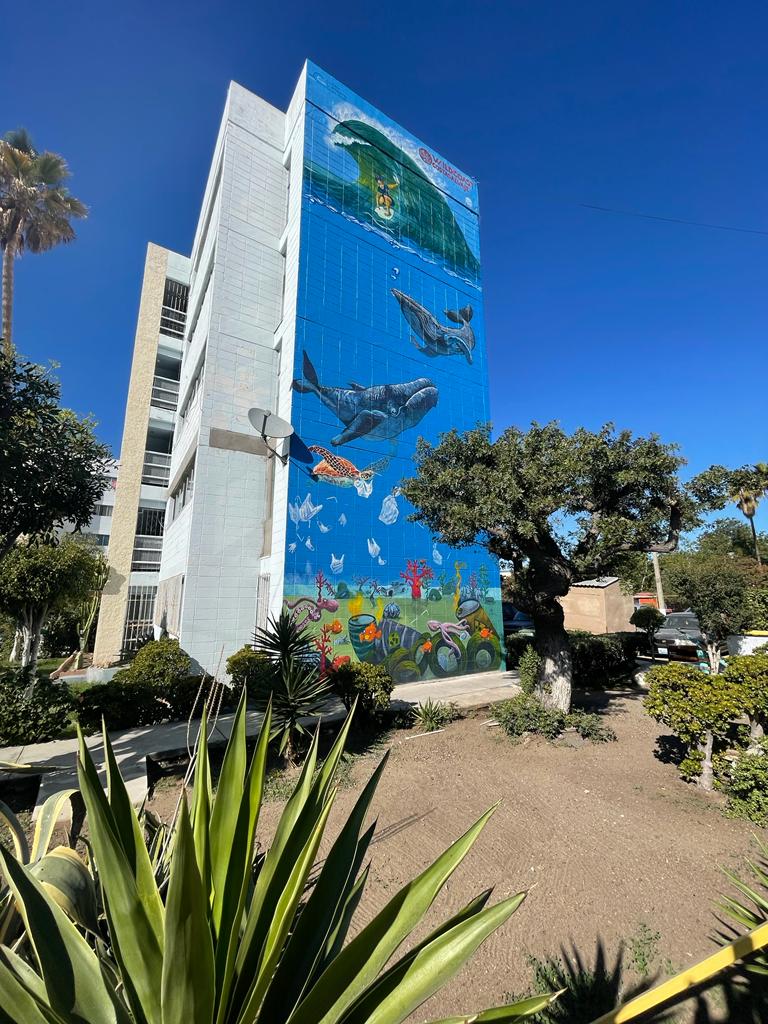 746c5c52 6530 4cea a49a 6b956940916c