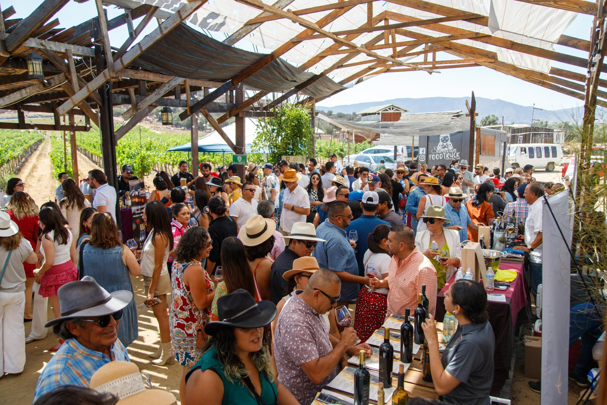 532158343 1073364185006100 7368892581136850305 n