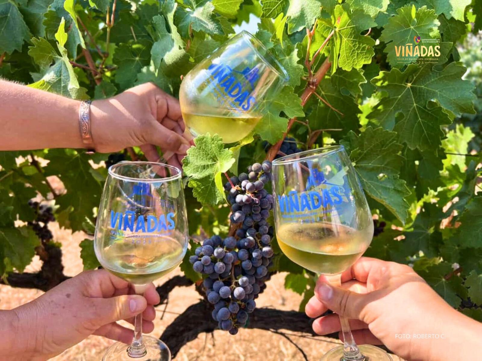 31f6588b 2cf8 44d6 a668 66b0bcb9f4c4