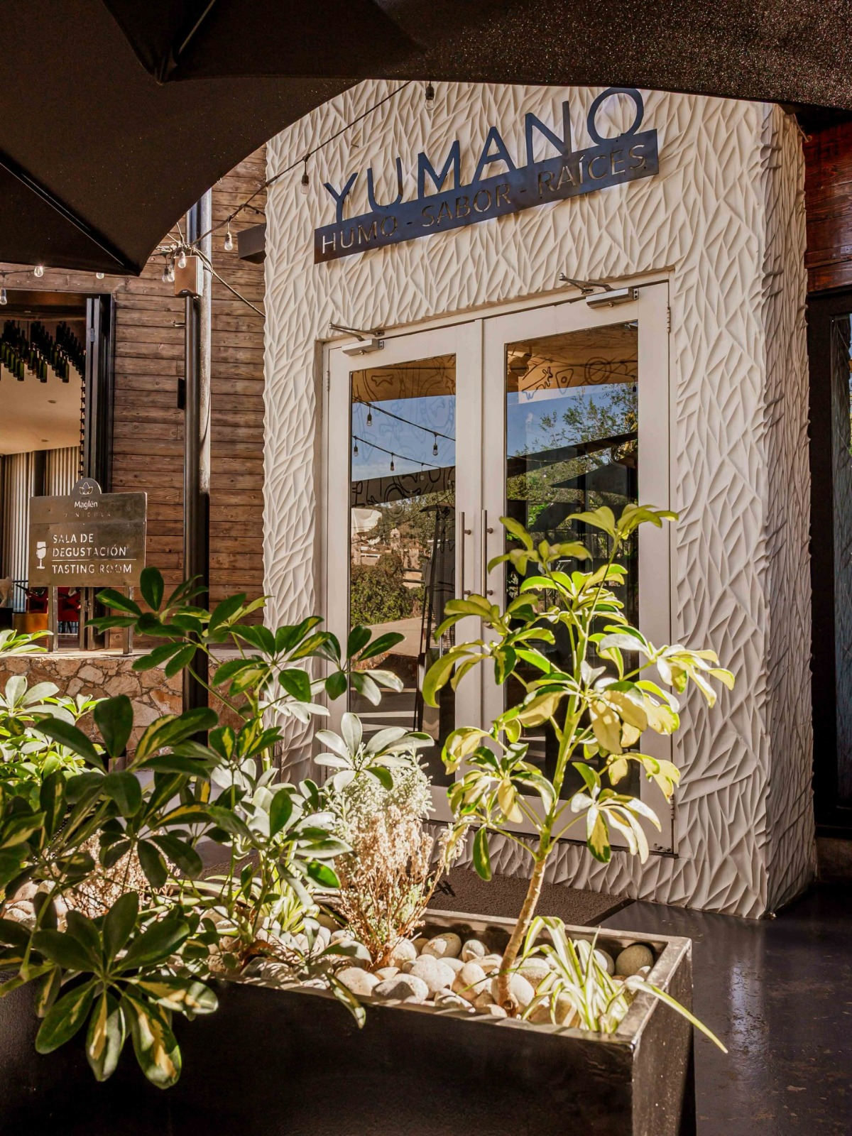 WhatsApp Image 2026 02 05 at 1.15.50 PM 1