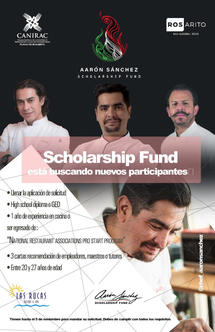 8537E96D 522C 44E2 BEF9 ACAA308308C8